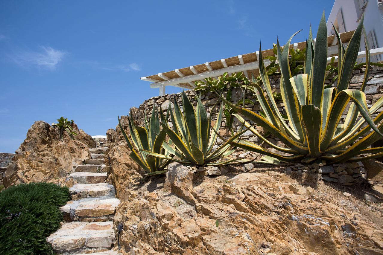 Salty Houses Kalo Livadi Exterior foto